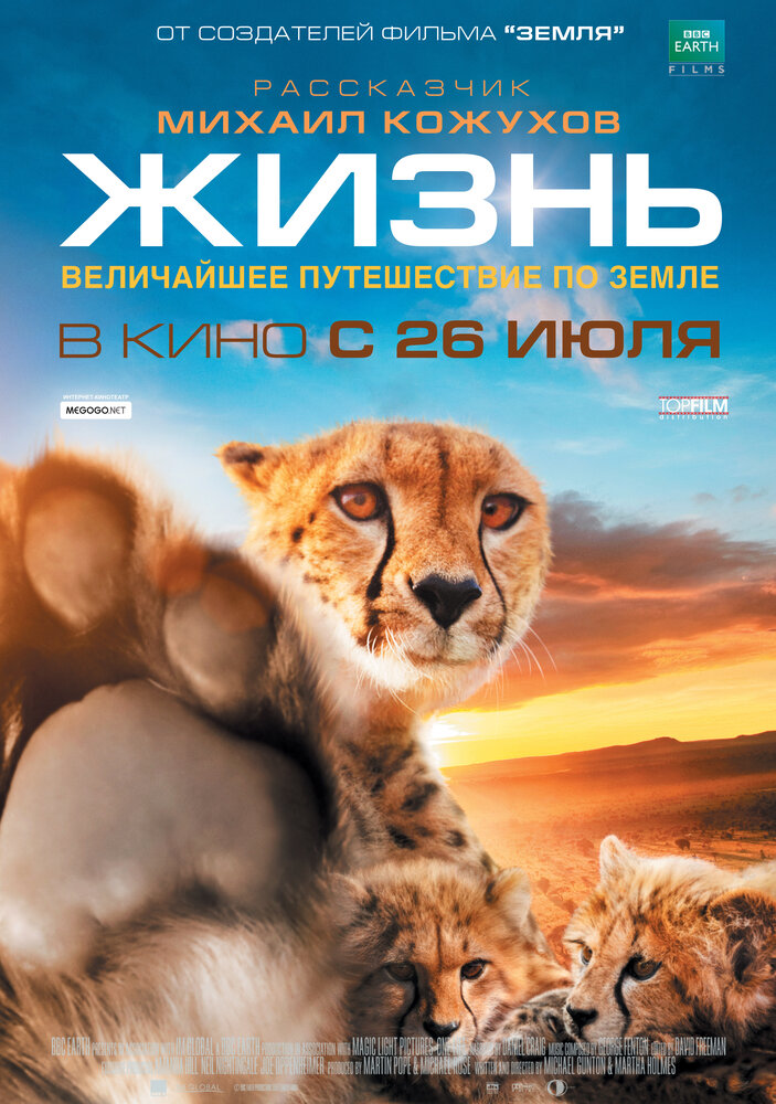 Жизнь (2011) постер