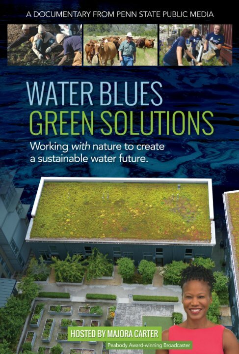 Water Blues: Green Solutions (2014) постер
